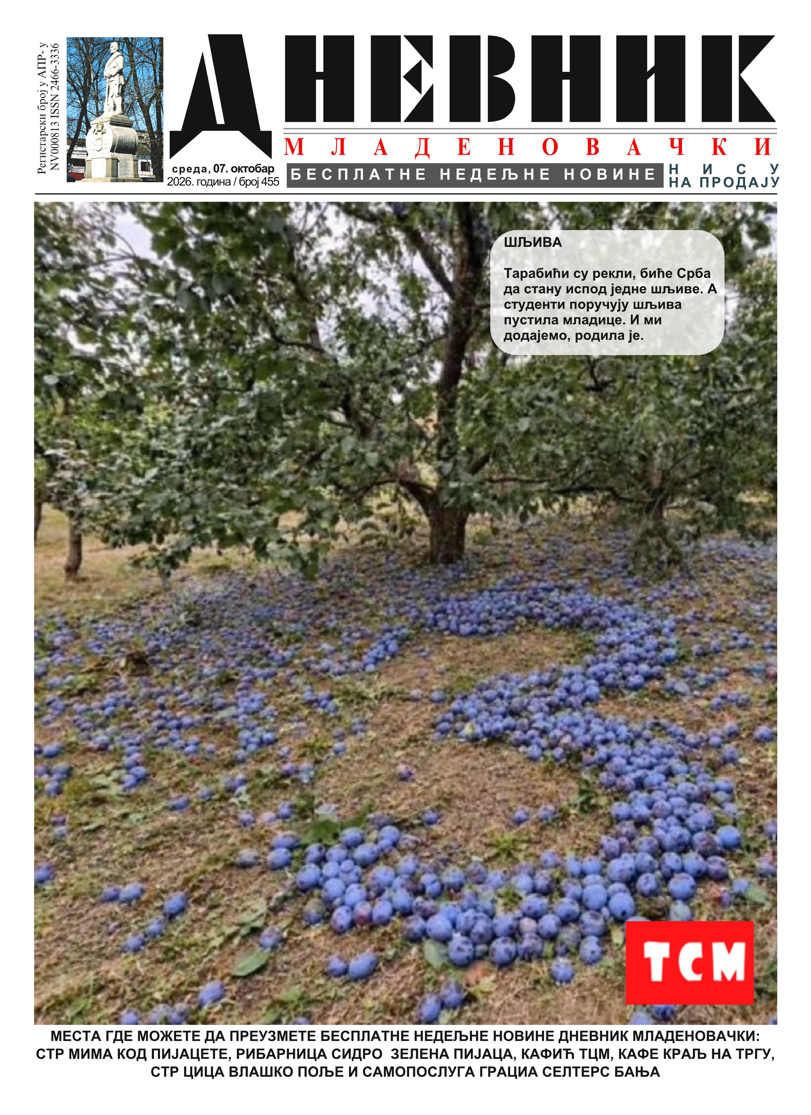 dnevnik mladenovacki